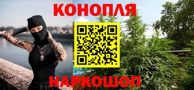 ГАЛЛЮЦИНОГЕННЫЕ ГРИБЫ Камышлов