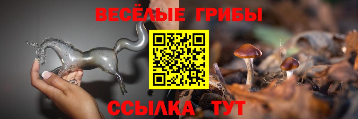 Псилоцибиновые грибы Cubensis Воскресенск